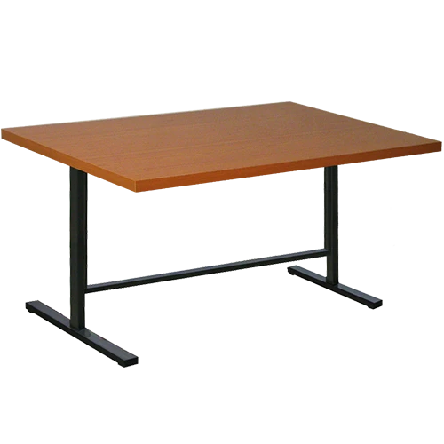 Rectangular Table with Metal Frame ST9