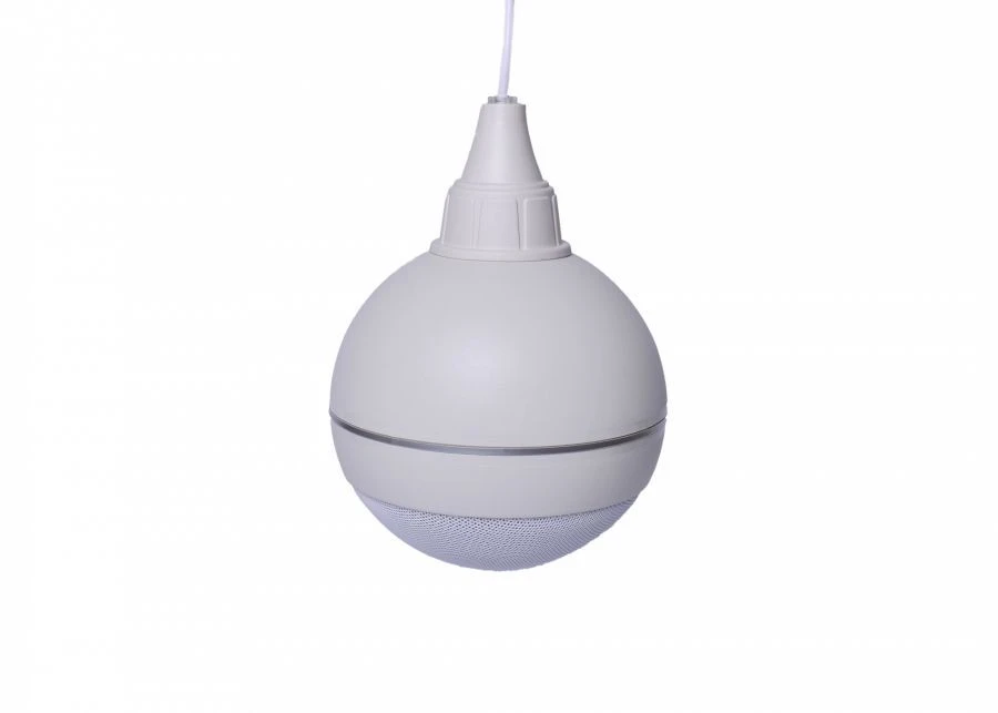 Ceiling Speech Alarm "Glagol PSh-10