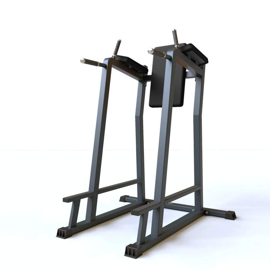 Bench Press Dip Station BF-312.1