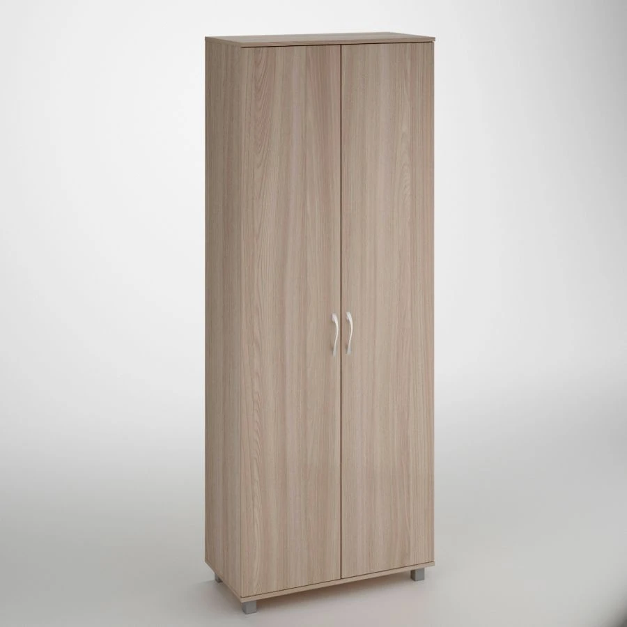 High Document Storage Cabinet with 4 Shelves