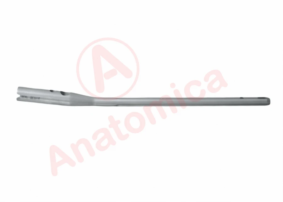 Long Gamma Rod for Bone Fracture Fixation