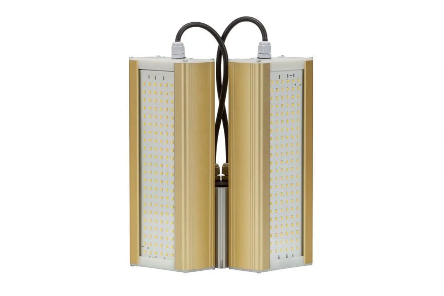 LED Lighting Module GOLD, Console KM2-2, 5000K, 96W