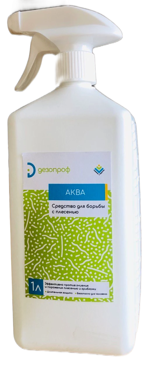 Mold Removal Solution Dezoprof AQUA