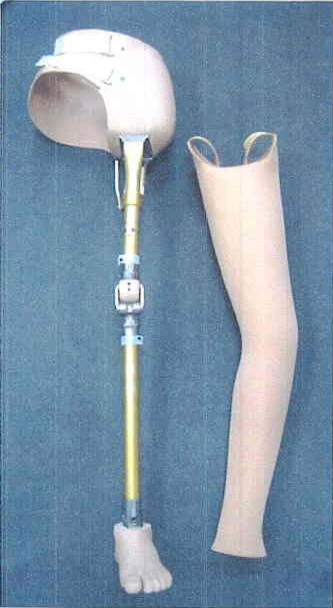 Modular Prosthesis for Hip Disarticulation PN8-02-OK