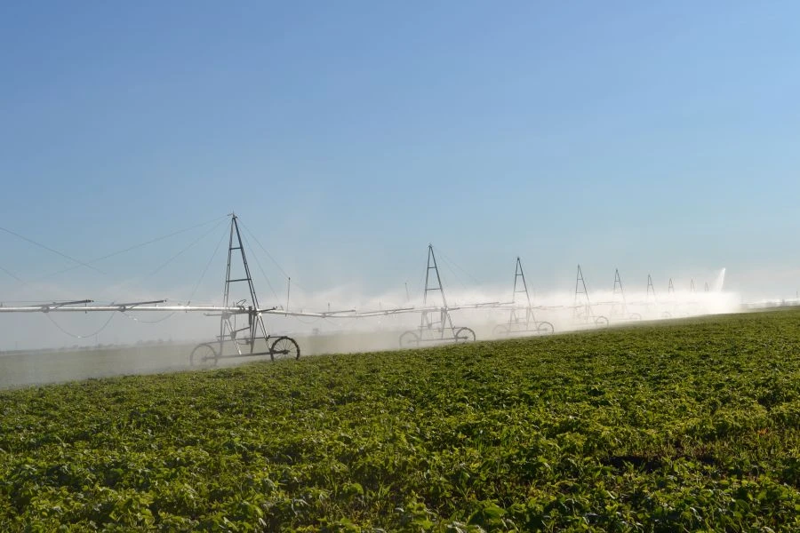 KORVET" Sprinkler Machine Model DMUM-18B-518