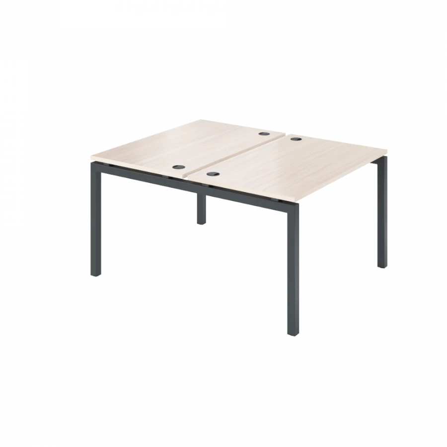 Double Workbench for Two Users AMB-002
