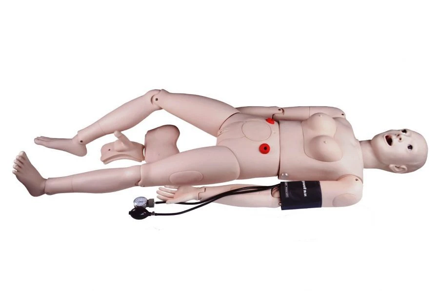 Multi-functional Medical Manikin for Wound Care and Catheterization, NS1019