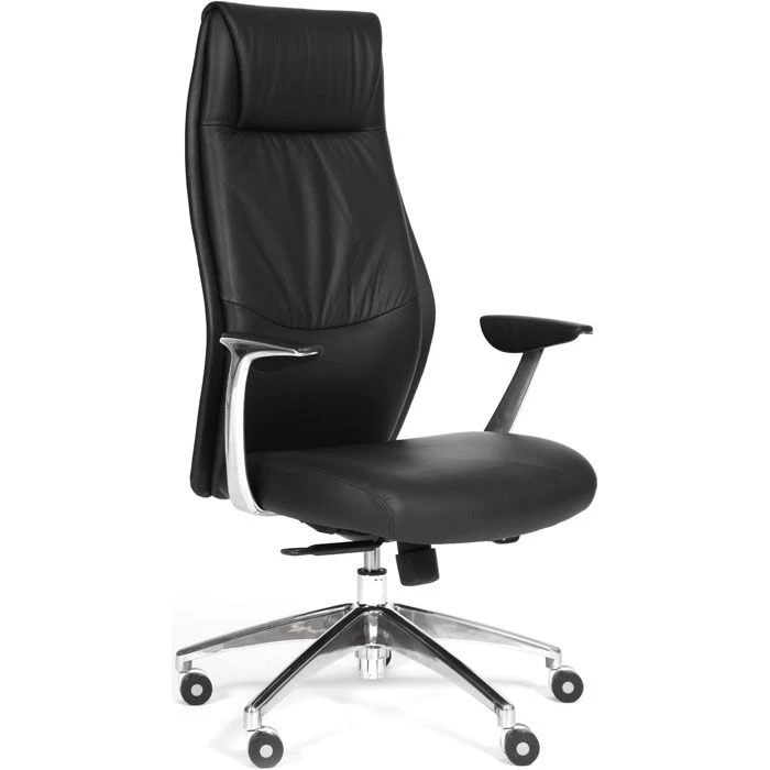Comfortable Seating Chair with Metal Frame, CHAIRMAN Vista