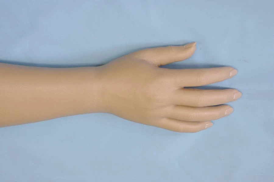 Cosmetic Hand Prosthesis for Partial and Complete Amputation PR0-21