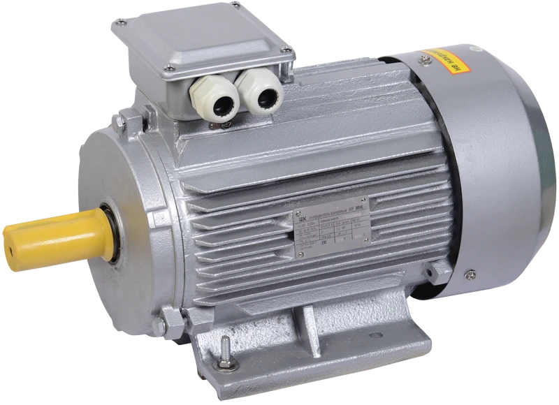 AIR 100S2 Three-Phase Induction Motor 4kW 3000RPM
