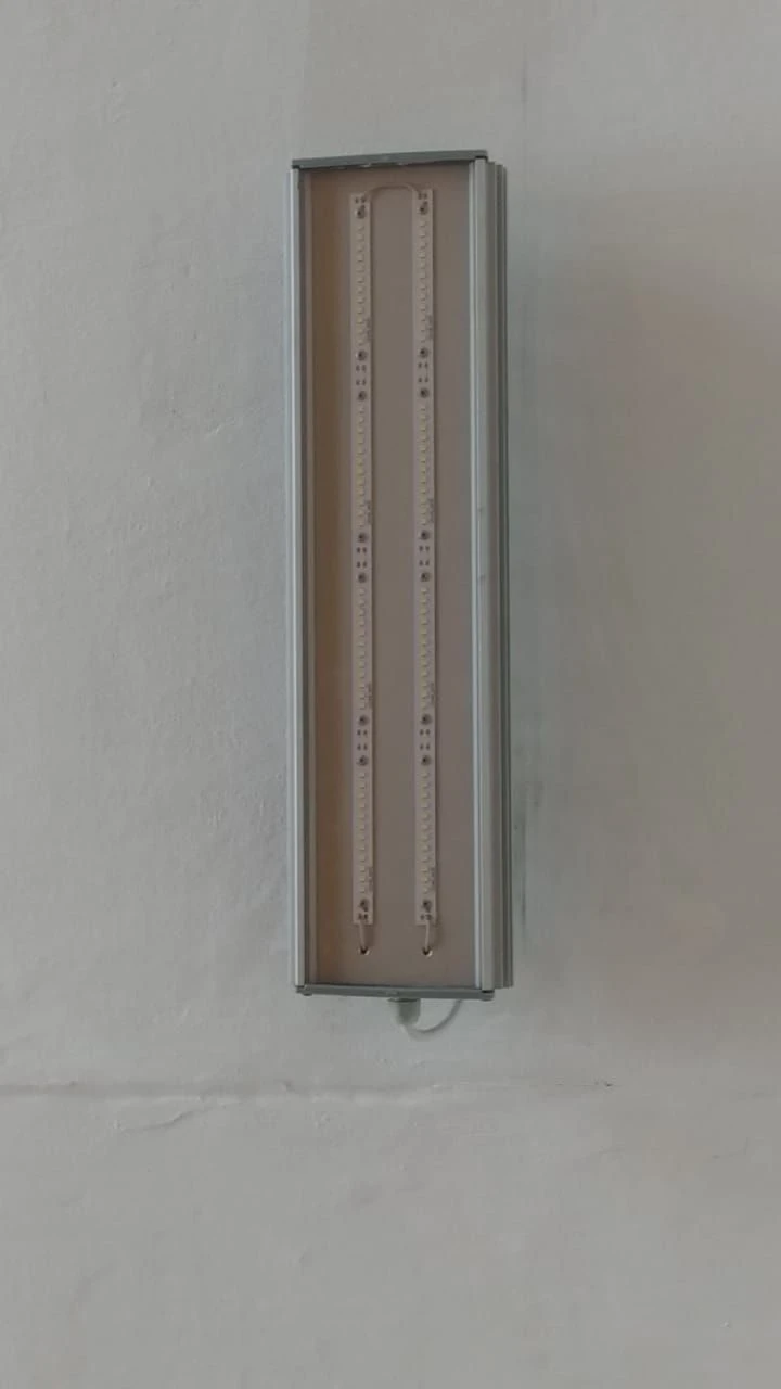 Industrial LED Light BL-C-60 for Outdoor and Indoor Use