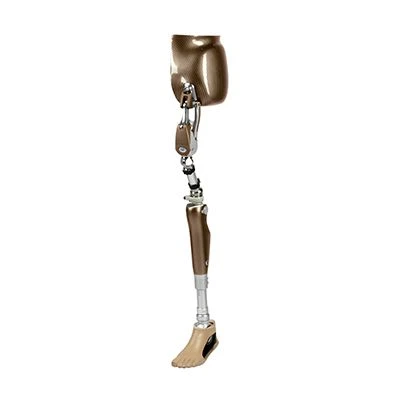 Modular Hip Disarticulation Prosthesis PN8-13