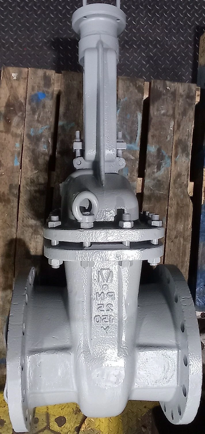 Steel Wedge Gate Valve with Rising Stem and Handwheel PN 2.5 MPa DN 50