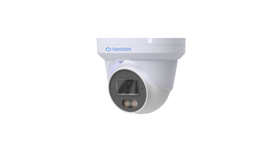 Dome Surveillance Camera Panokam-180 PNC-G24A0C-S-L(3.6)
