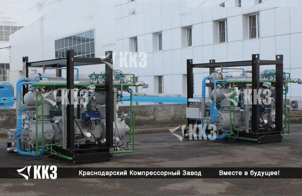Piston Gas Compressor for Industrial Applications 2ГМ4-1,3/12-250