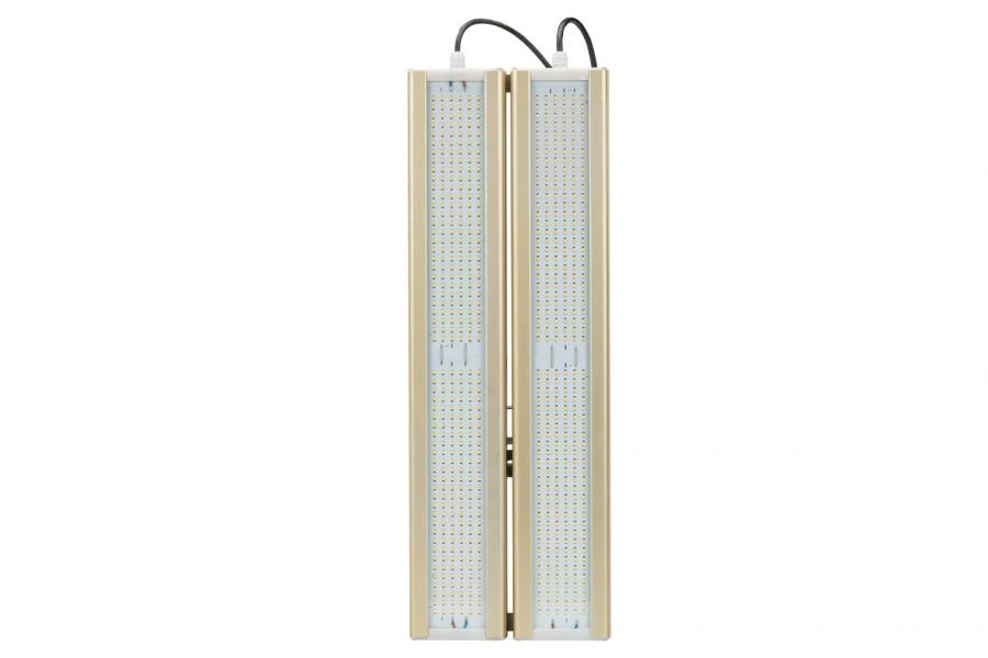 Universal LED Light Module GOLD U-2, 4000K, 248W