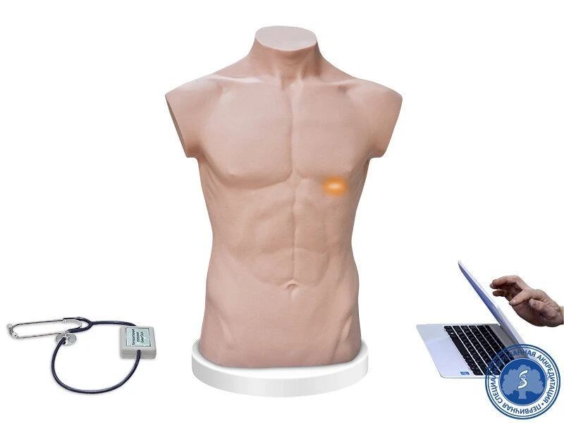Physical Examination Training Simulator TFO-1.01MU0130