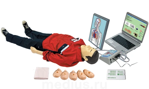 Mechanical Spring-Based CPR and Brain Resuscitation Trainer with Performance Indicator
