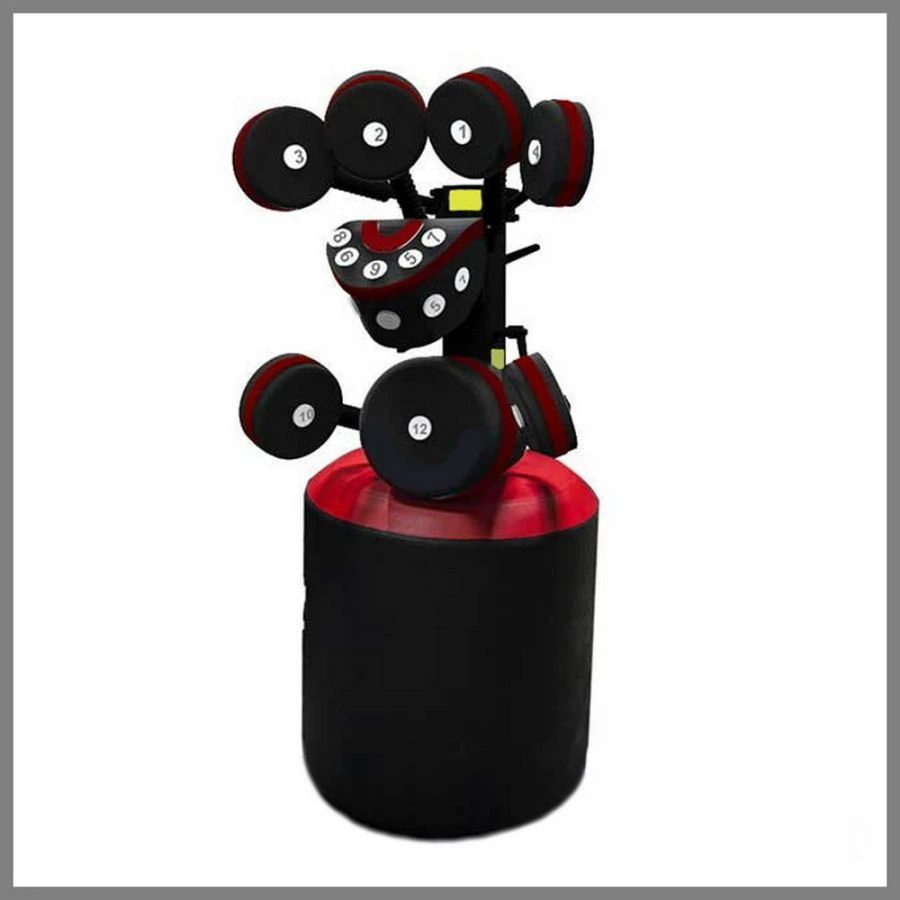 Boxing Training Equipment for Professional Boxers