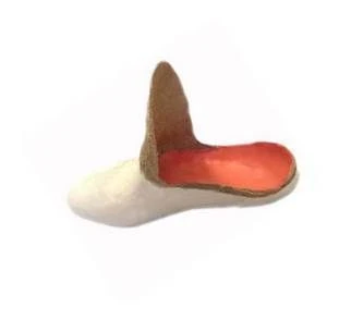 Orthopedic Footwear for Stump Amputees (Insertable Booties)