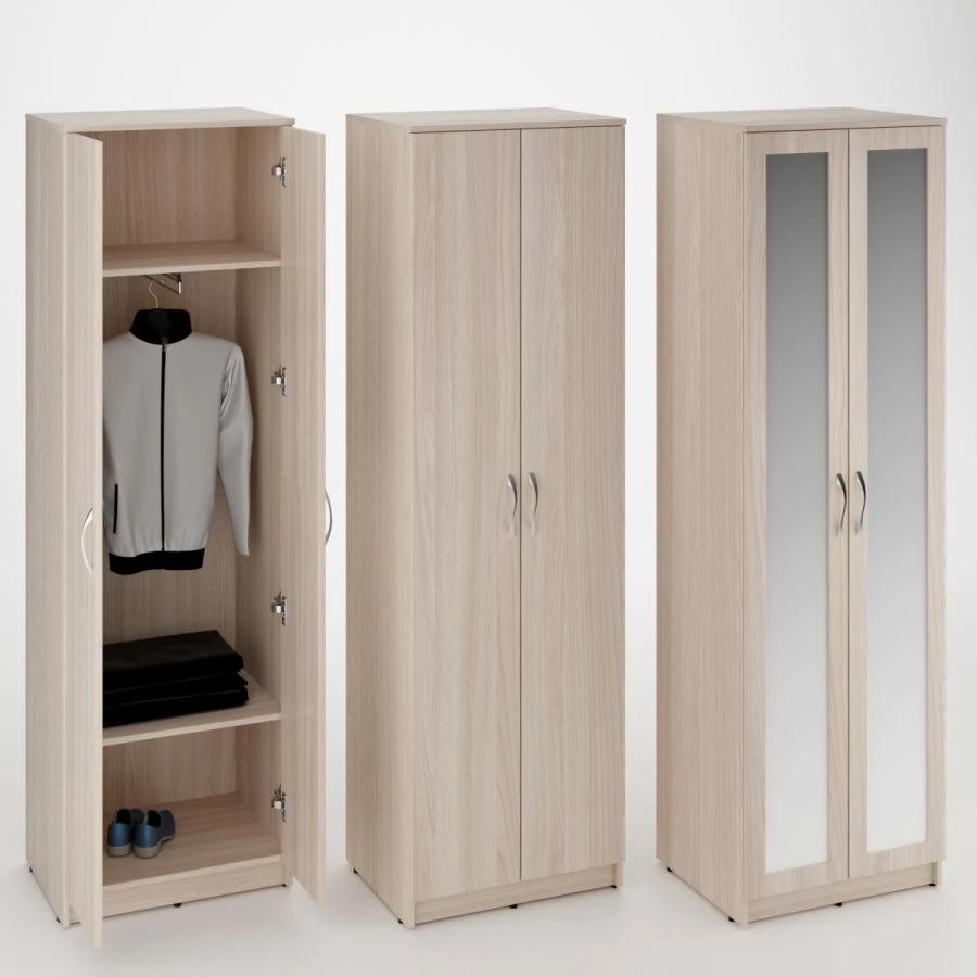 Two-Door Wardrobe with Pull-Out Rod and Mirror Option