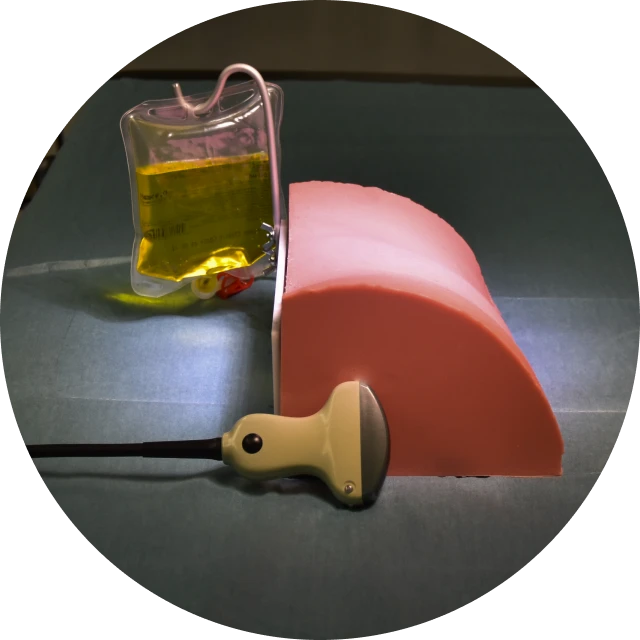 Uroson Ultrasonic-Controlled Urological Trainer