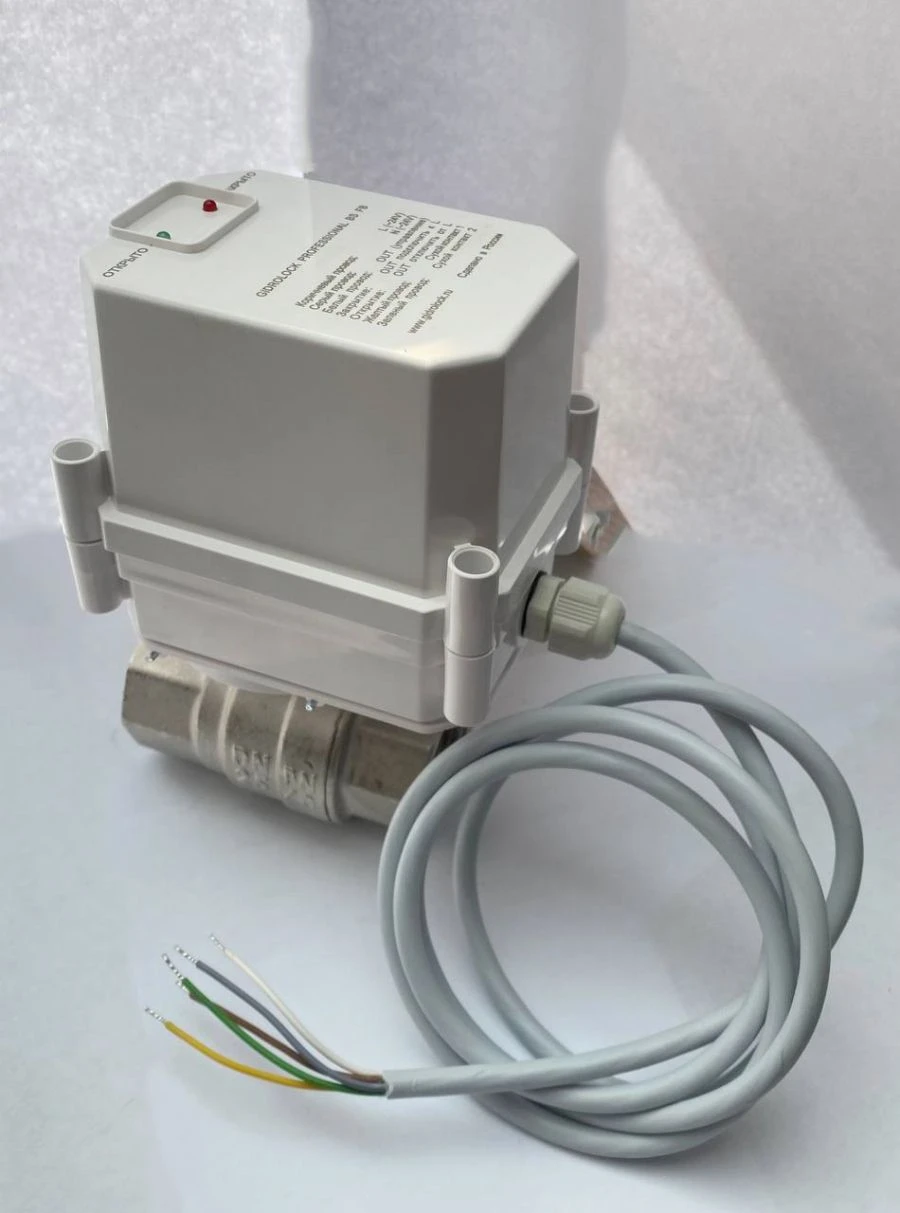 Electric Ball Valve GIDROLOCK PROFESSIONAL 220V FB G-LOCK 2" BS