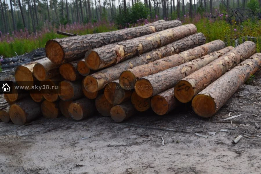 Round Timber of Coniferous Species for Sawing and Planing