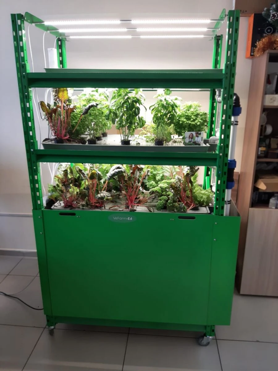 Multi-tier Hydroponic Growing System VeFarm-ED