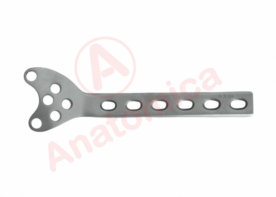 Support Plate for Femoral Condyle with Limited Contact