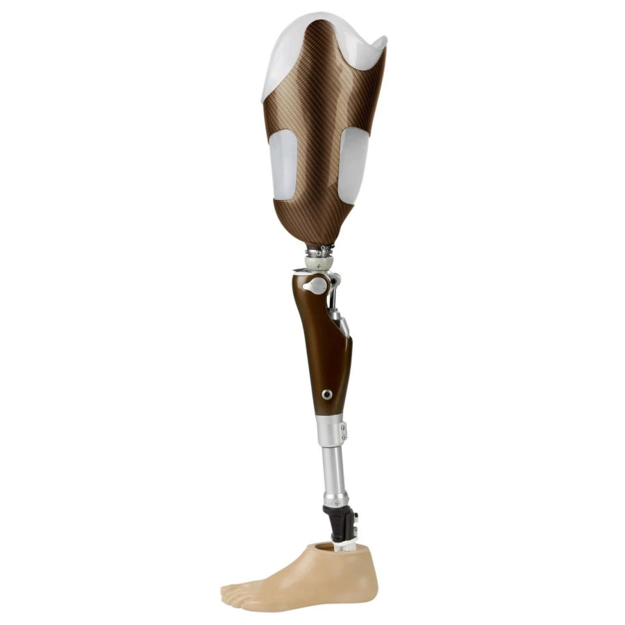 Modular Microprocessor-Controlled Hip Prosthesis for Enhanced Mobility 8-07-12