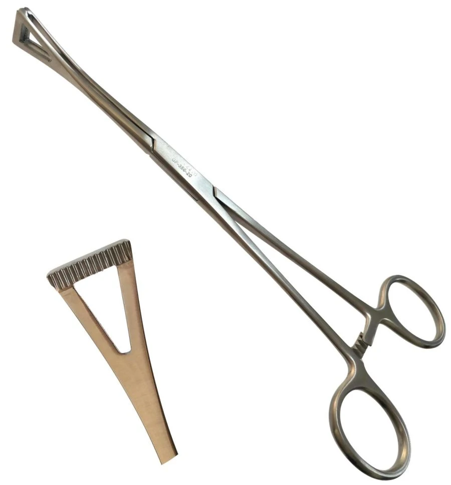 Surgical Clamps for Secure Organ and Tissue Positioning Cilita