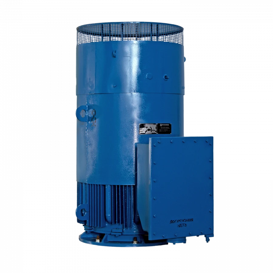 AOM2-355 Three-Phase Vertical Induction Motor