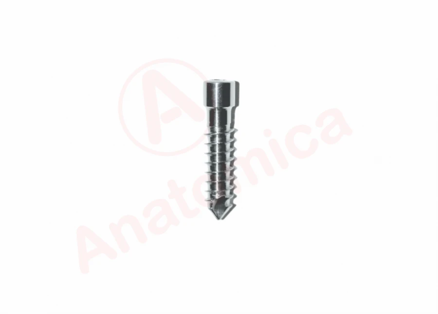 Reconstruction Screw for Bone Fragments