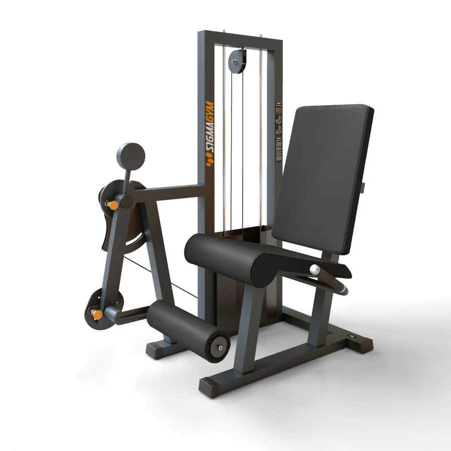 Thigh Muscle Training Machine - Leg Extension BF-107