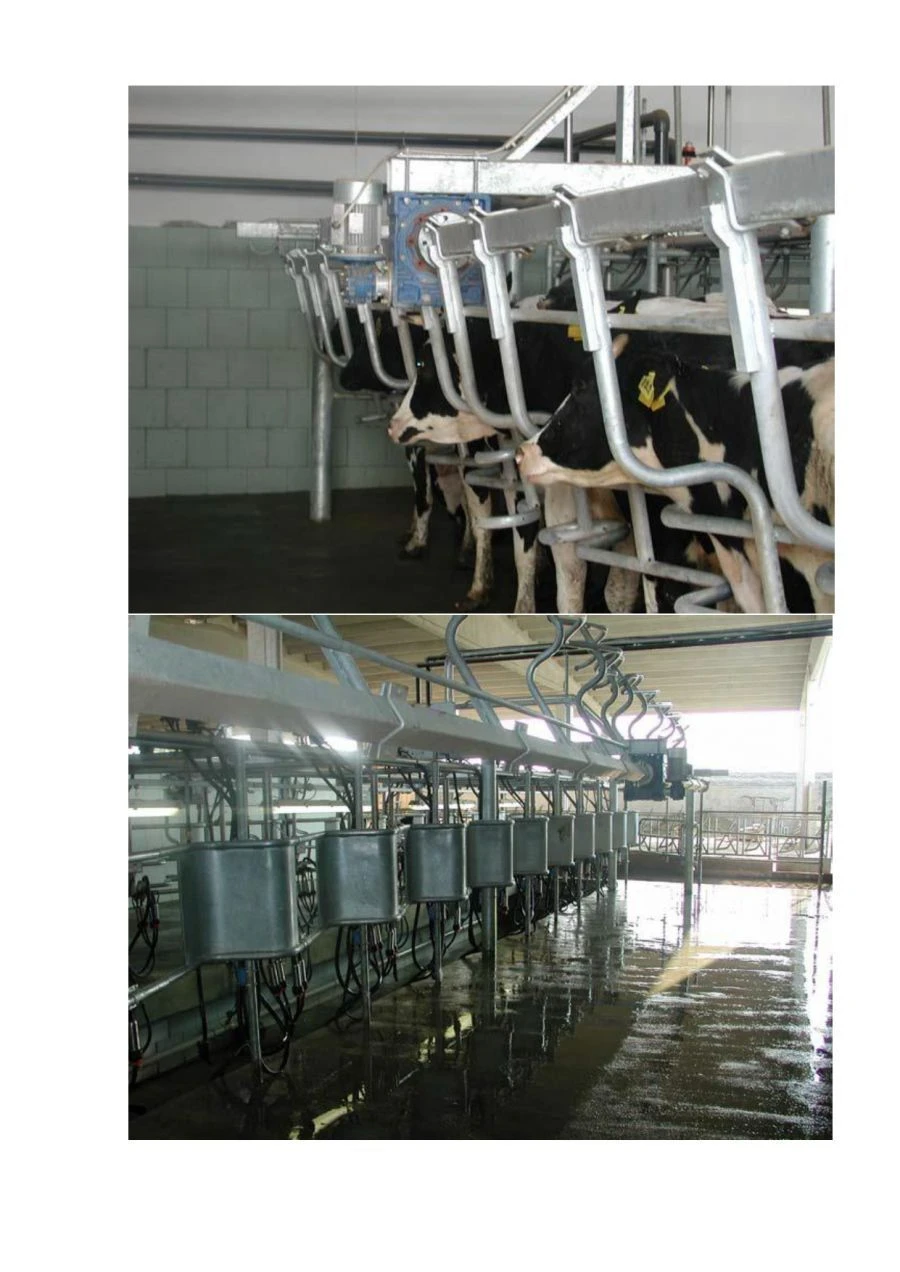 Classic Milking Parlors "Christmas Tree" AIS-SCR Series