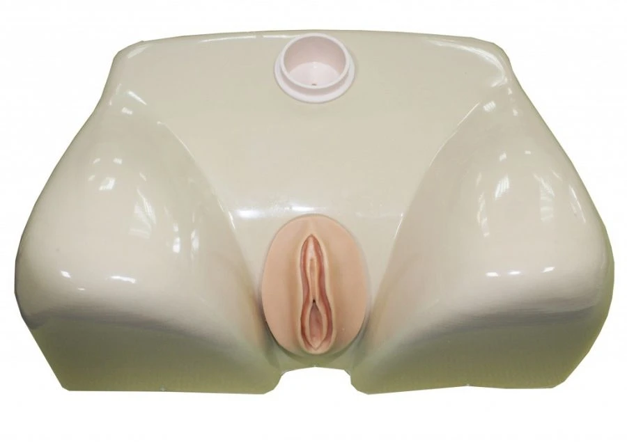 Female Urinary Catheterization Simulator Model MU0214