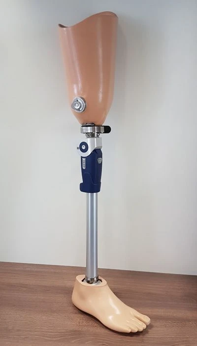 Modular Hip Prosthesis for Enhanced Mobility