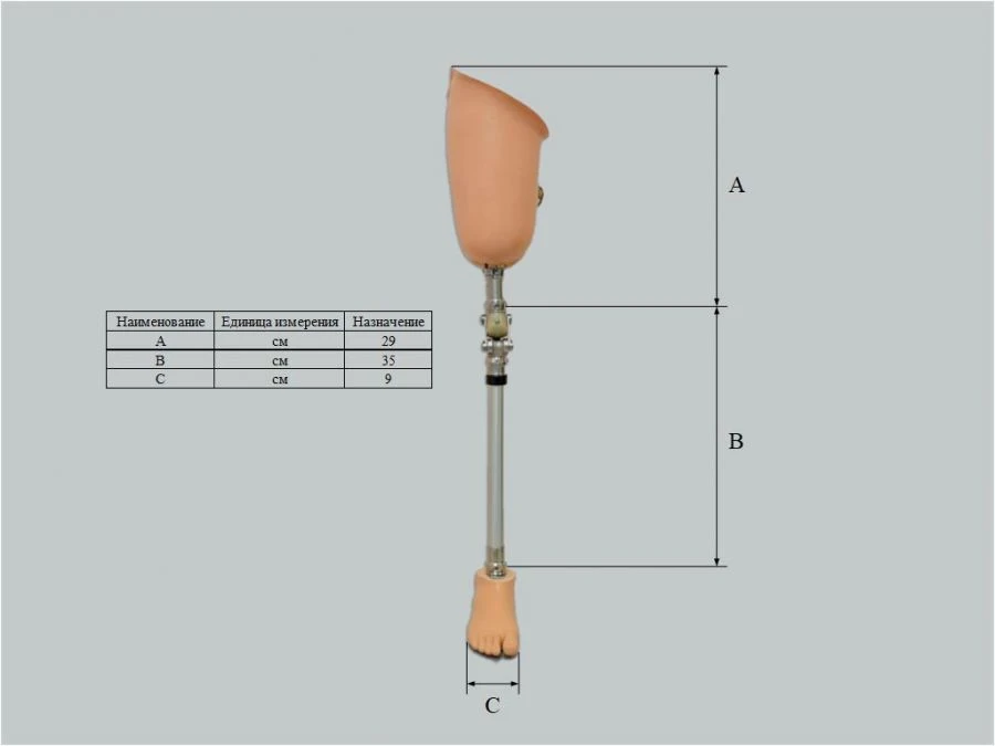 Non-modular Hip Disarticulation Prosthesis