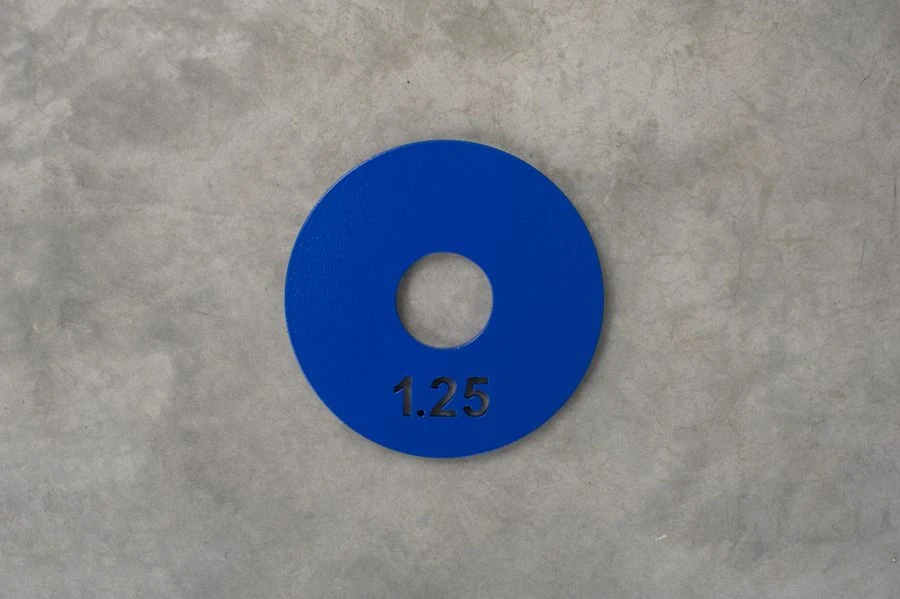 Steel Training Disc 1.25 kg