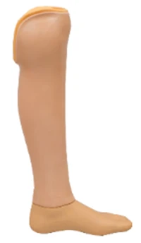 Bathing Prosthesis for Lower Limb, PN3-OB-K