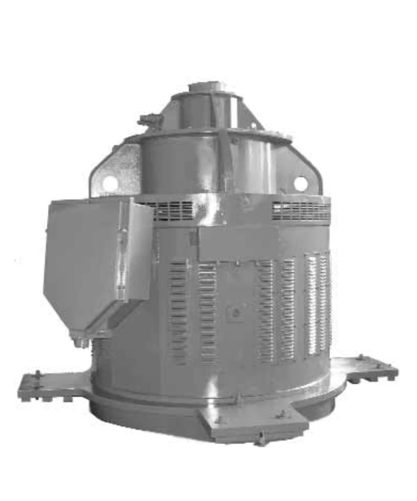DWAN118-400/6-8 U3 Vertical Three-Phase Induction Motor