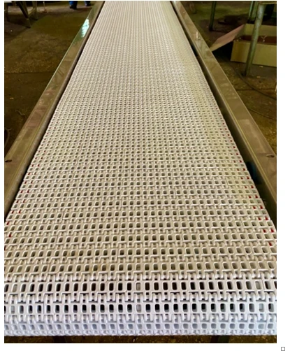 Water Drainage Conveyor for Carcasses