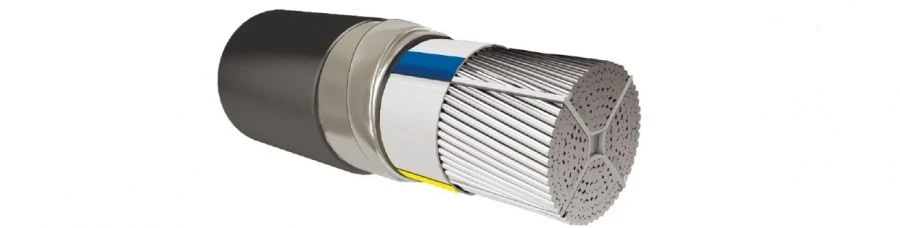 Plastic Insulated Power Cables up to 1 kV AПвБШп