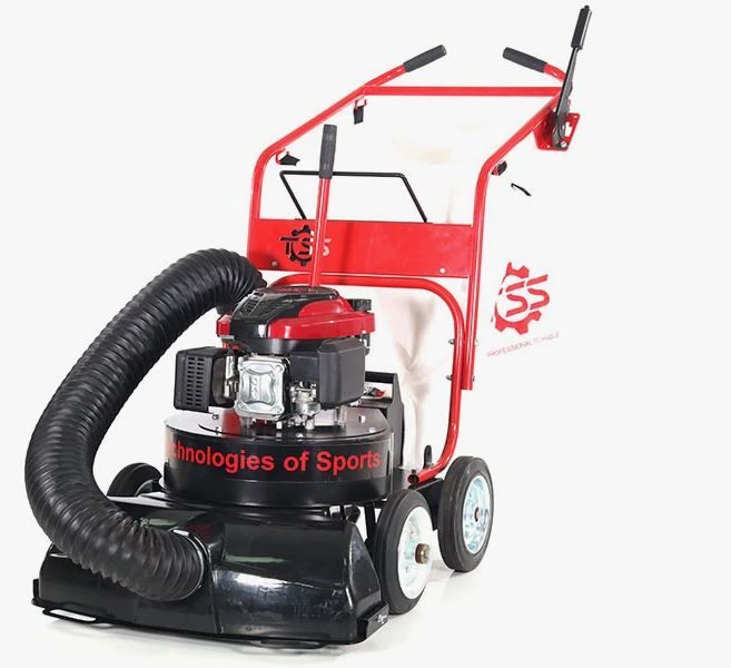 Garden (Park) Vacuum Cleaner TOSS LV-150