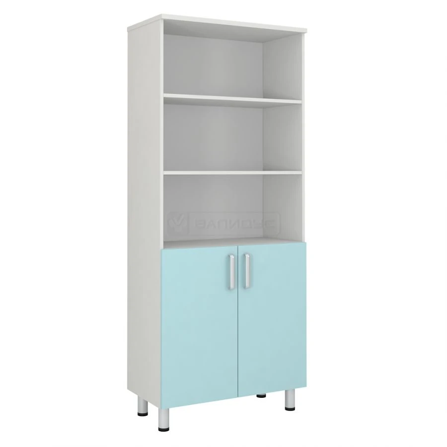 Two-Door Storage Cabinet with Adjustable Feet - SHM-11CT
