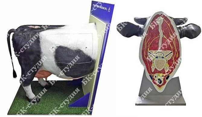 Veterinary Training Simulator for Cattle "KRS