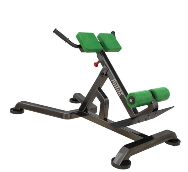 Adjustable Incline Hyperextension 0-45 Degrees