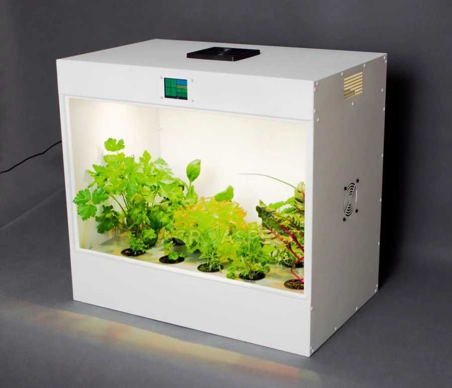 Hydroponic Mini Greenhouse Ecobox - Year-Round Plant Growth