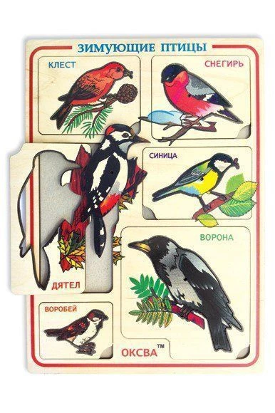 Winter Birds Inset Frames Educational Toy